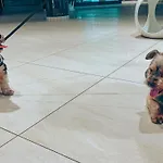 アクア　ホテル ホテル ポルコビツェ