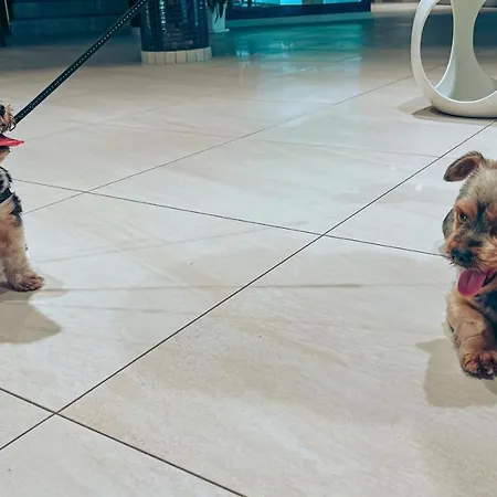 Aqua Hotel Polkowice