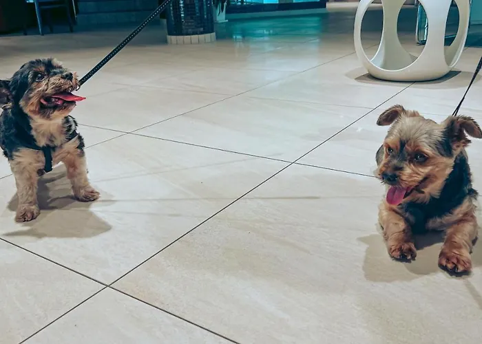 Aqua Hotel Polkowice